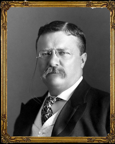 theodoreroosevelt pic